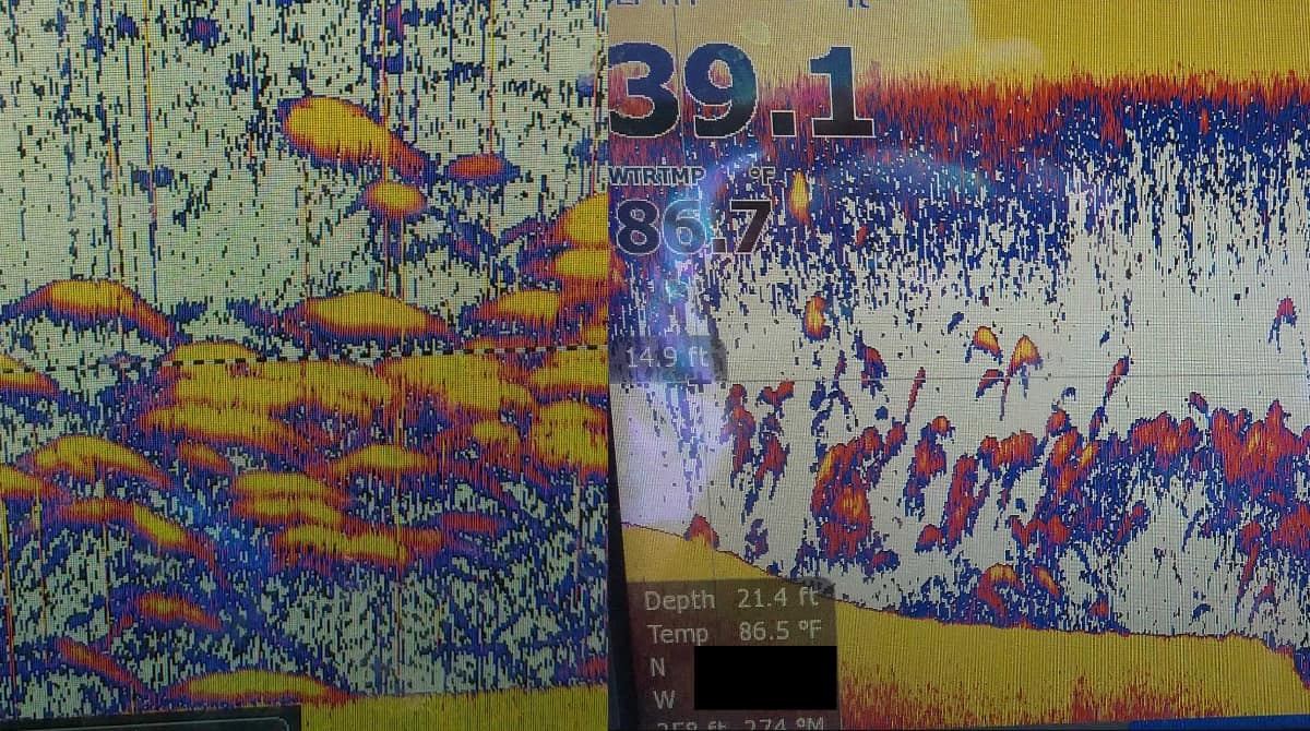 6 Cool Sonar Images of Random Things