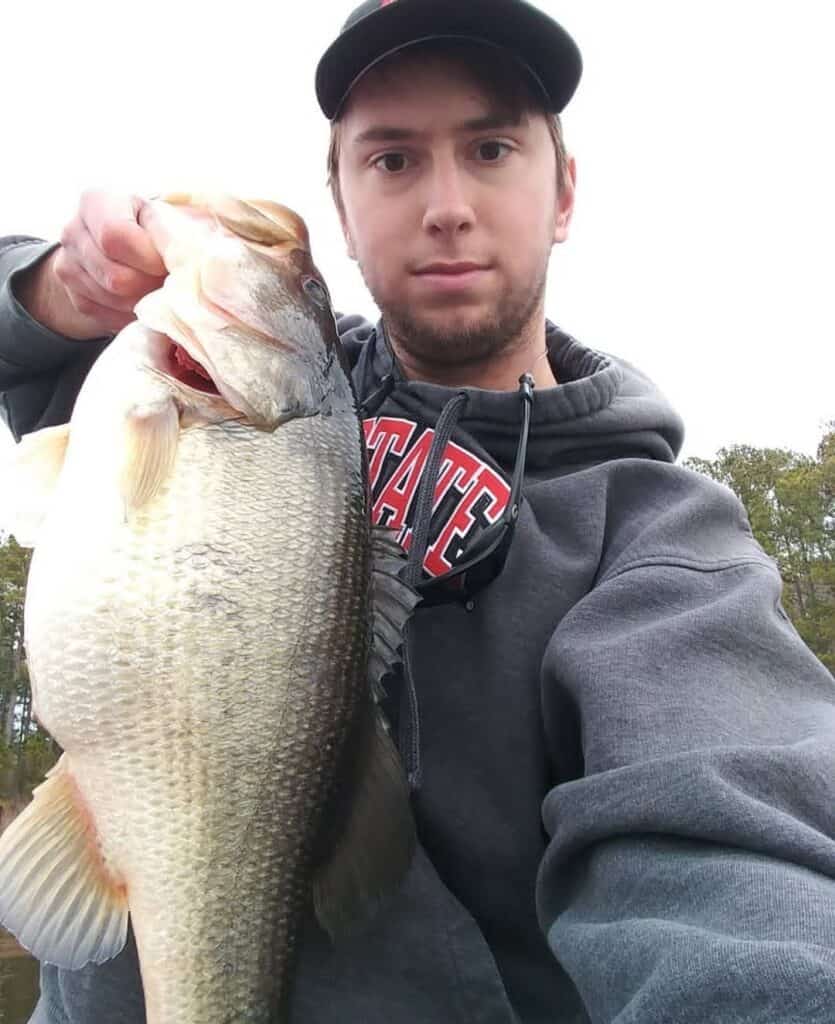 7lb