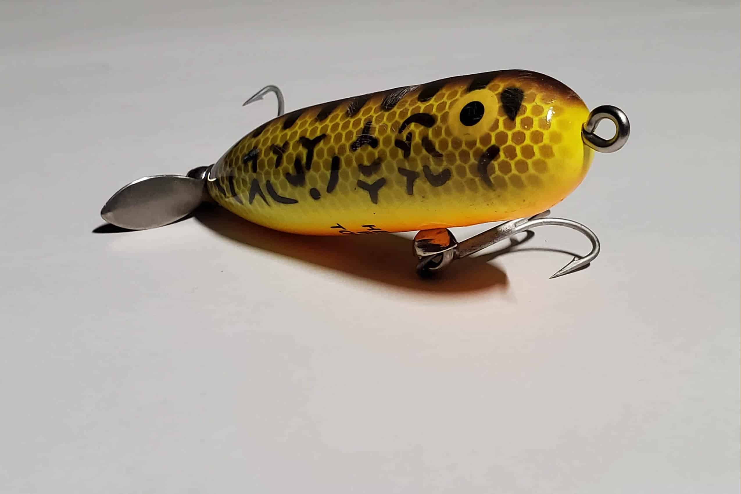 5 Baits That Will Catch Bass in Any Pond