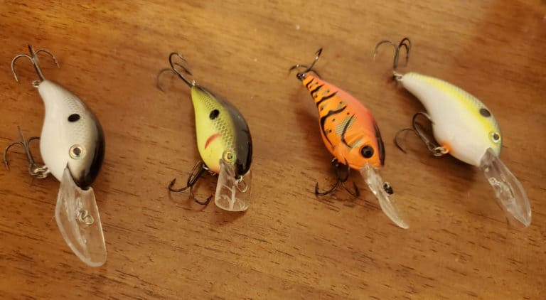 Beginner’s Guide to Crankbaits