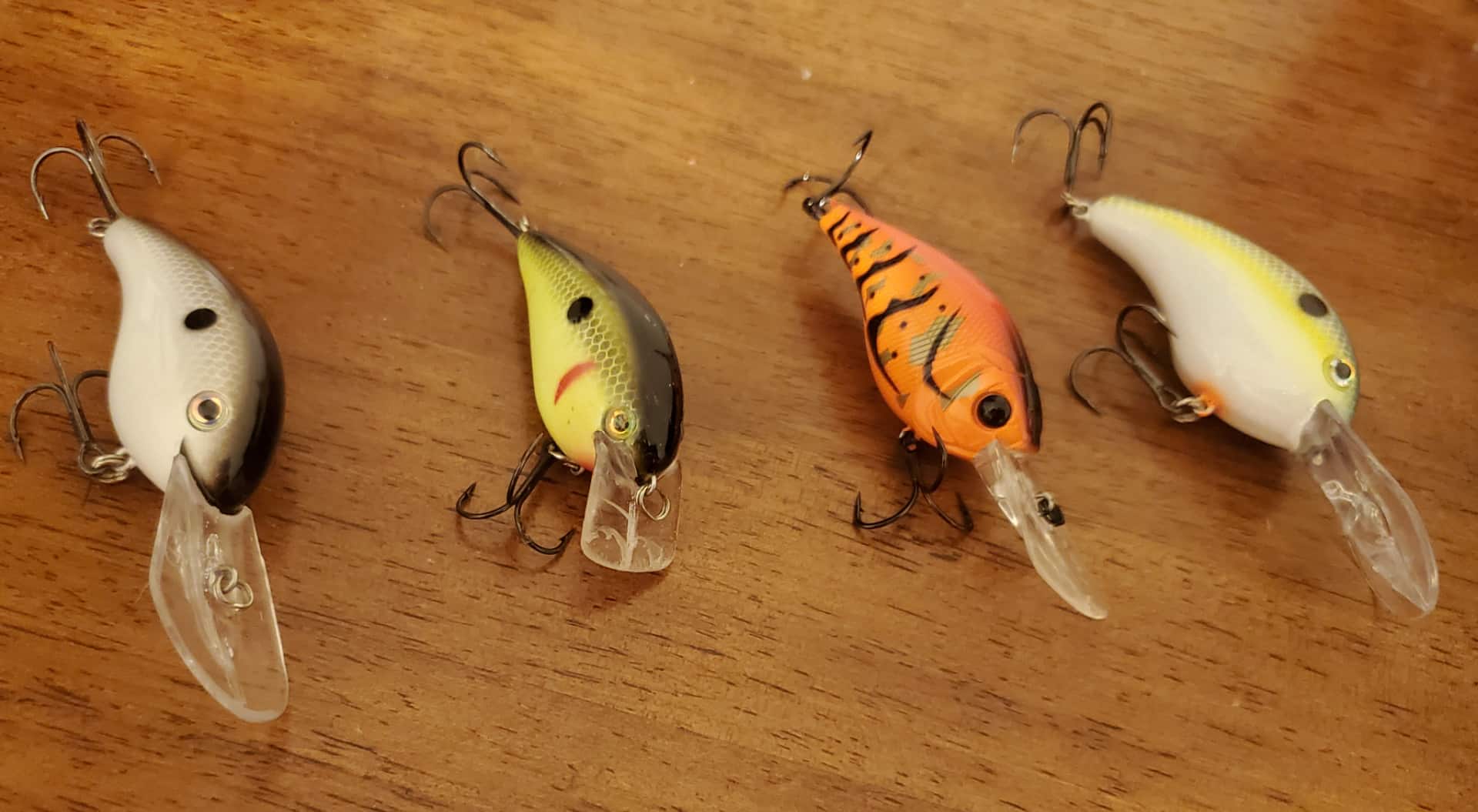 Square Bill Crankbaits - Bassfishing Essentials