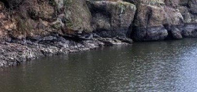 Steep Rocky Bank