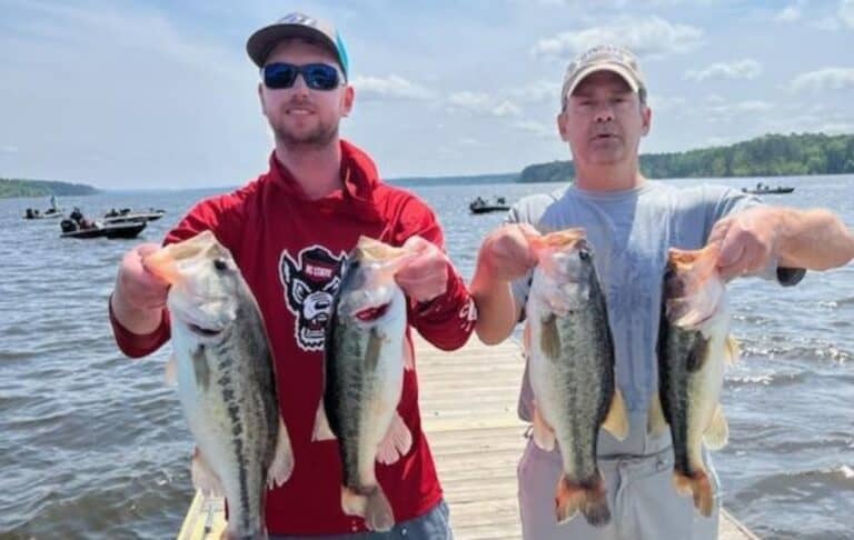 Five Baits to Catch Bass in the Fall