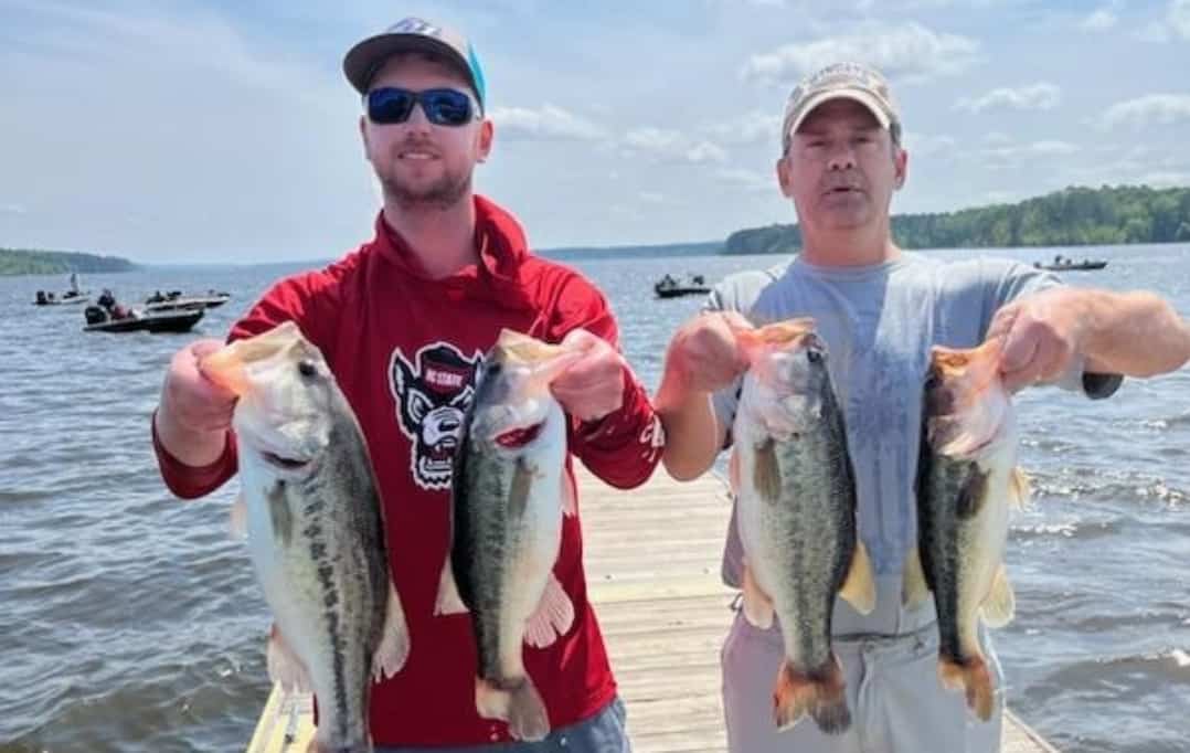Five Baits to Catch Bass in the Fall (2024) - Bass Blog